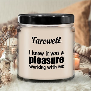 Co-worker Leaving Gifts for Women, Farewell Gift for Coworker, Goodbye Gift for Coworker, Gift for Coworker Leaving, Parting Gift Coworker