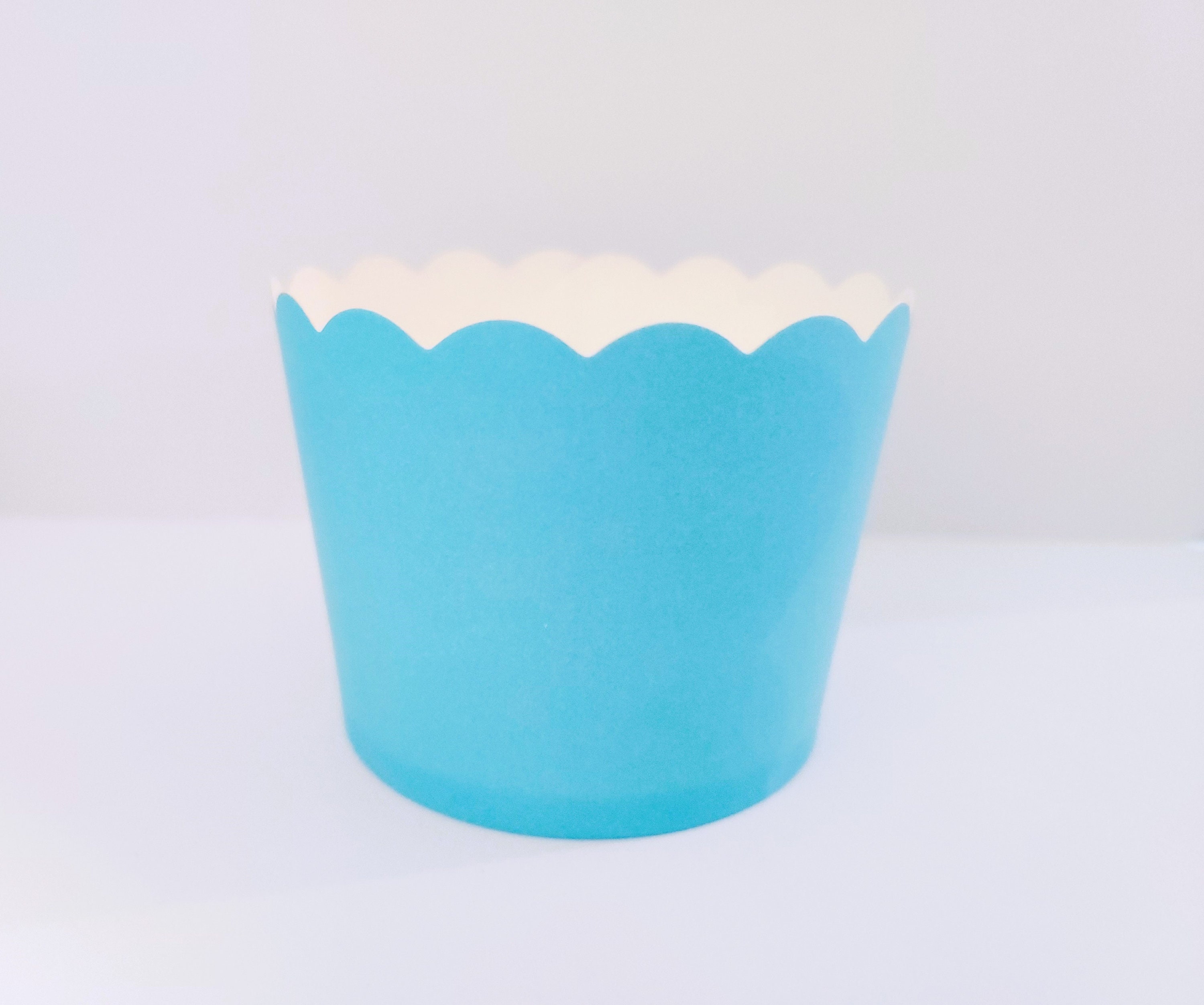 12 Blue Cupcake Wrappers For Your Birthday Party Birhday Party 12-blue-cupcake-wrappers-for-your-birthday-party-birhday-party