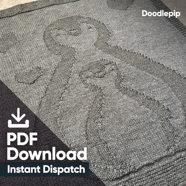 Easy Baby Knit Blanket Pattern - Pingouin - Fil DK - Téléchargement pdf