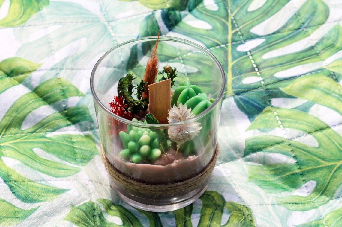 Terrarium Succulent Candle Garden Handmade Soy Candle Gifts Etsy