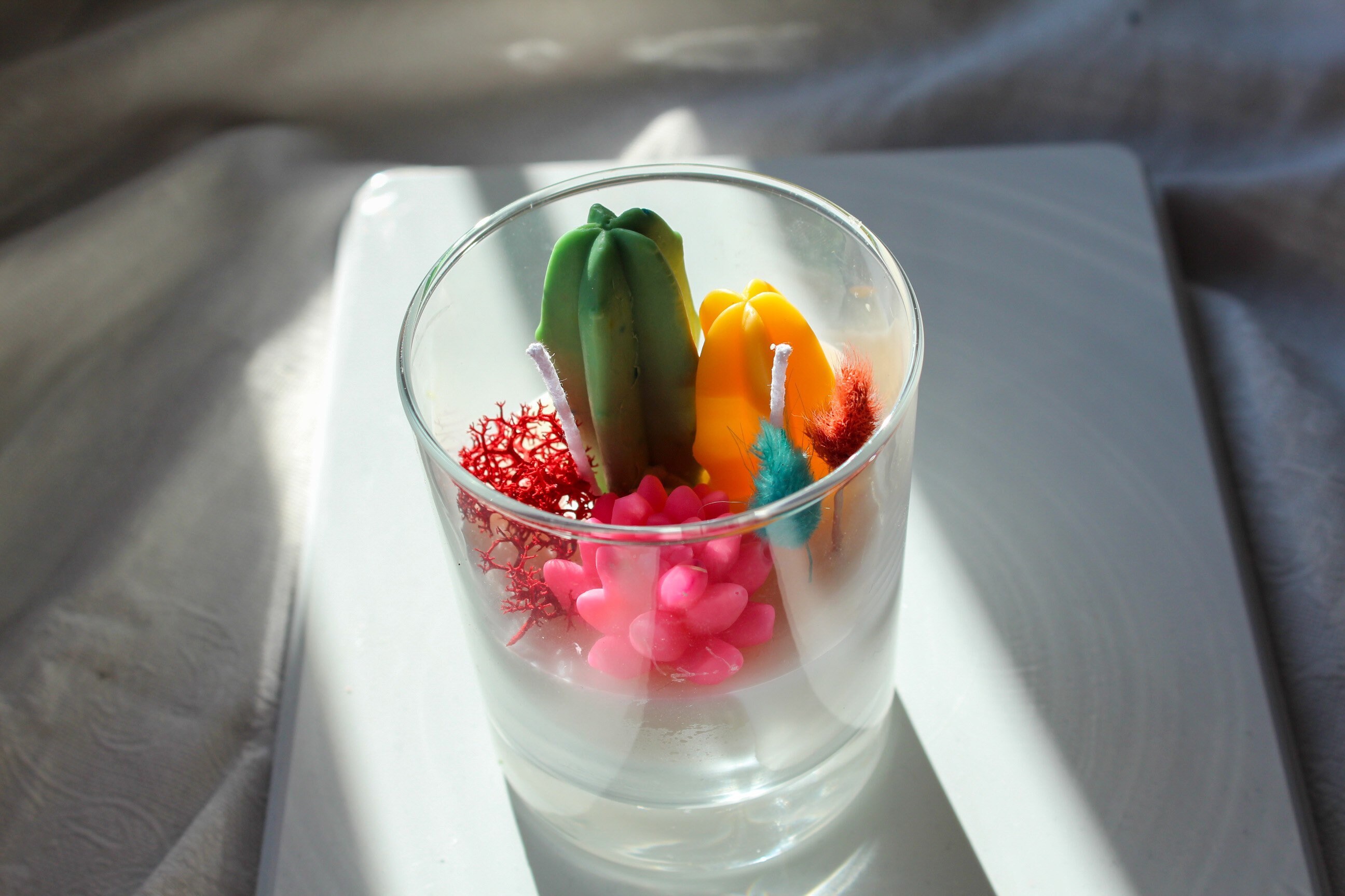 Terrarium Succulent Candle Garden Handmade Soy Candle Gifts Etsy