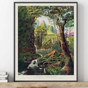 Tropischer Kunstdruck. Grüne Waldlandschaft. Vintage Reiseplakat. Tropischer Dschungel Kunstdruck. Jungle Wandkunst. Tropischer Regenwald