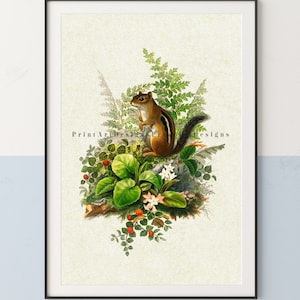 Chipmunk Print. Woodland Animal Print. Vintage Chipmunk Wall Art. Cottage Decor. Forest Print. Forest Animal Print. Chipmunk Poster.