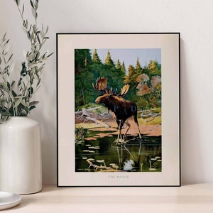 Vintage Moose Art Print. Deer Wall Decor. Moose Animal Wall Art. Wild Animal Print. Elk Decor. Mountain Decor. Rustic Home Decor. Nature art