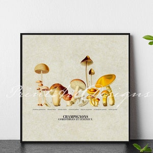Paddestoel kunst aan de muur. Paddestoel Poster. Plantengidsposter. Vintage stijl decor. Paddestoelen Botanische Kunst. Paddestoel grafiek afdrukken. Paddestoel cadeau.