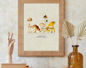 Lámina botánica vintage de hongos: ilustración de hongos del siglo XIX / Arte mural cottagecore / Decoración rústica natural / Póster de gráfico botánico antiguo