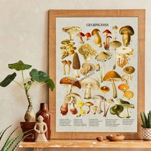 Vintage Mushroom Chart Print – Autumn Forest Fungi Wall Art, Botanical Mushroom Illustration for  Autumn Home Decor, Rustic Kitchen Wall Art