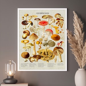 Vintage Pilz Poster - Cottagecore Wanddekor - Pilz Illustration - Pilz Poster - Pilz Poster