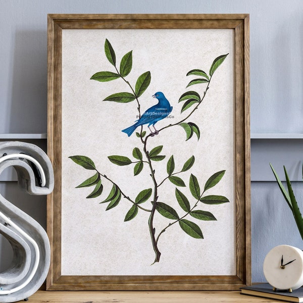 Indigo Bunting sur une branche vintage Print. Affiche rétro aquarelle Indigo Bunting. Intérieur de style naturel vintage. Idée cadeau pour les amoureux de la nature