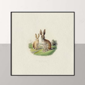Vintage Bunny Art Print – Woodland Rabbit in Meadow, Antique Wildlife Art for Spring, Rustic & Farmhouse  Decor, Nature-Inspired Animal Art.