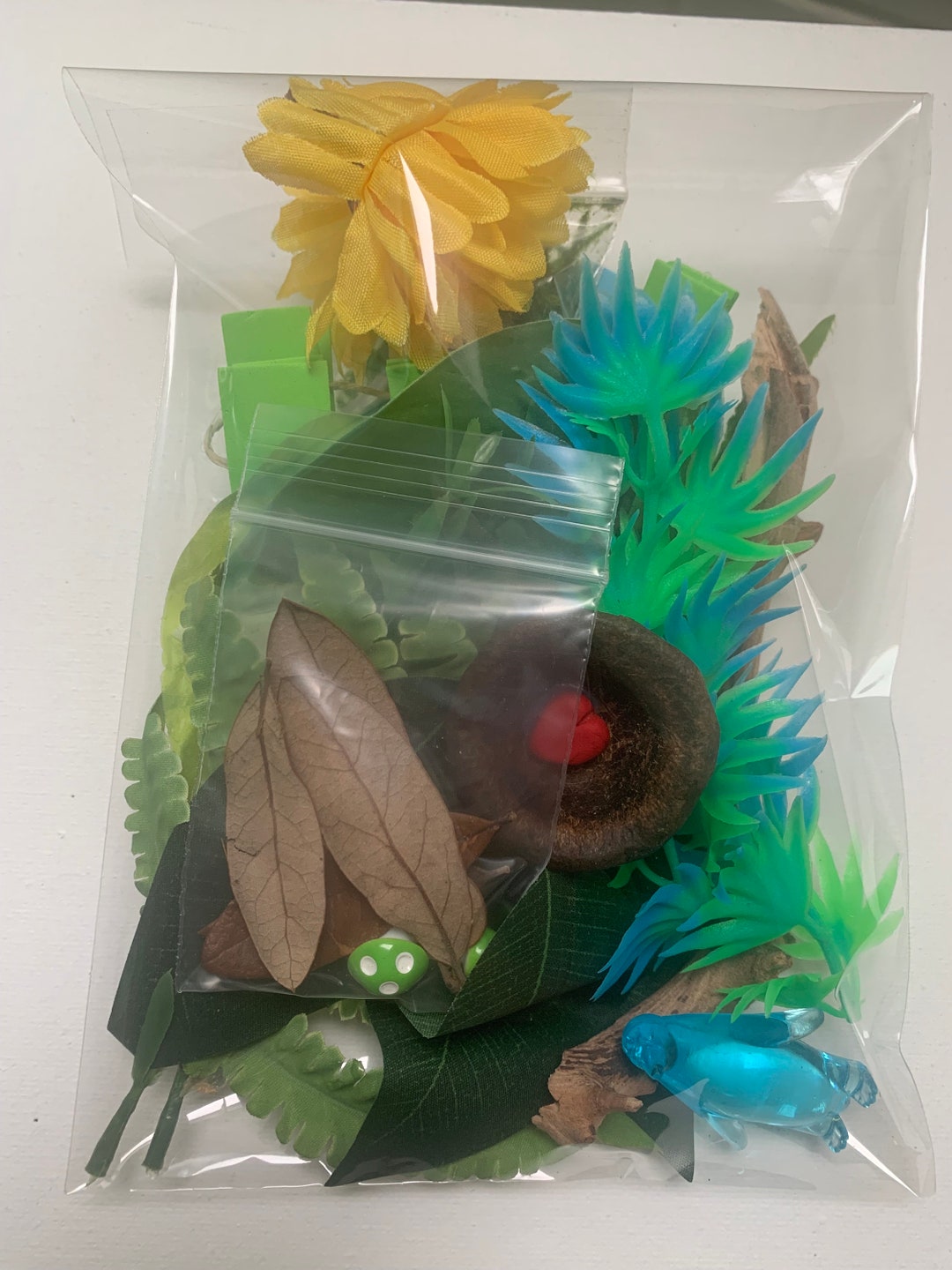 Jumping Spider Enclosure Decorations Natural Materials OOAK Spider Love