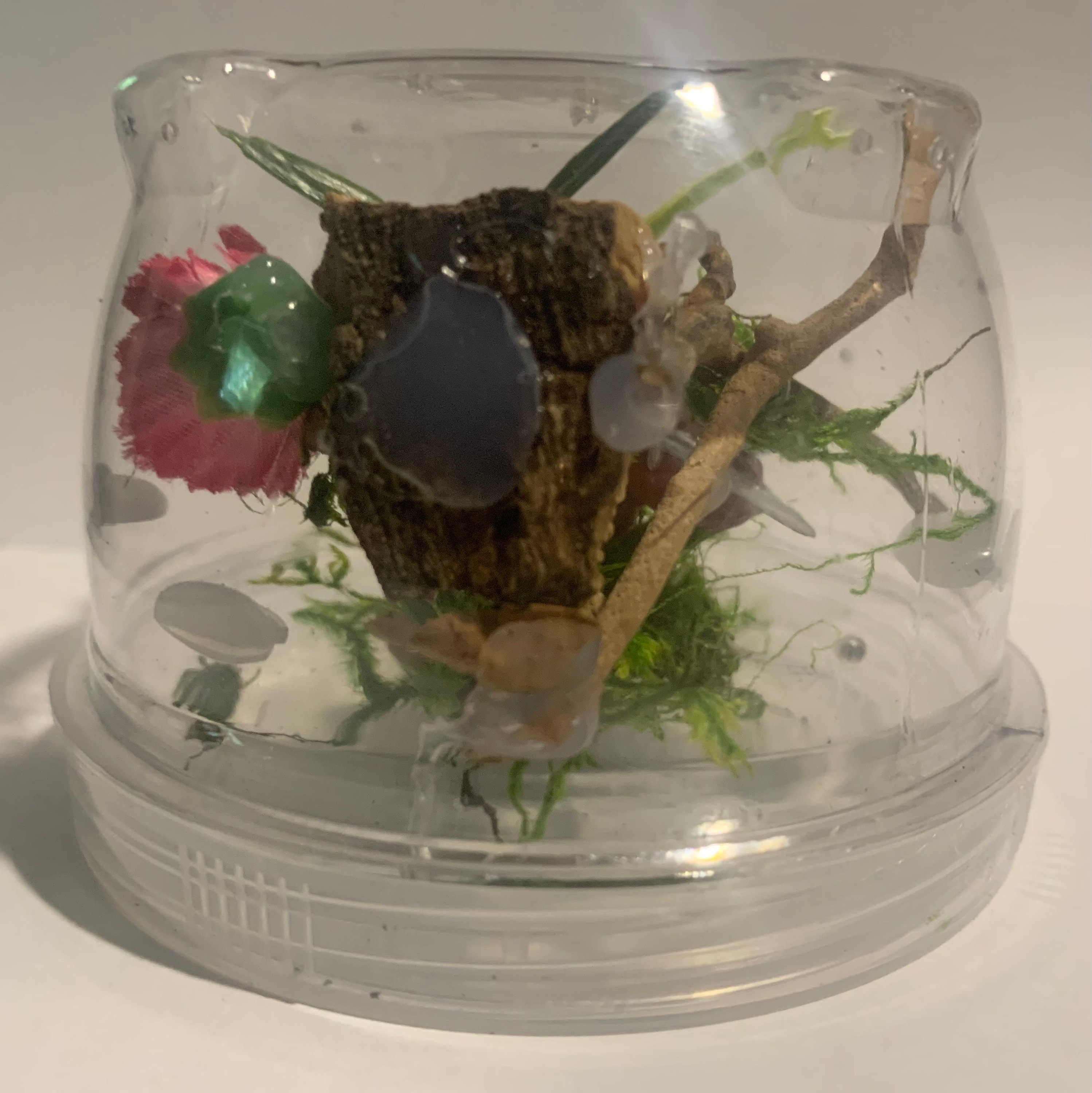 Jumping Spider Decorations | Premium Handmade CLimbing Decor | Opus Vita