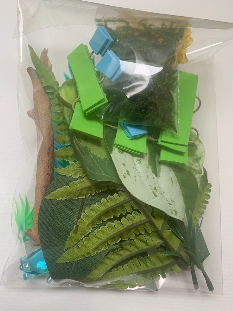 Jumping Spider Enclosure Decorations Natural Materials OOAK Spider Love