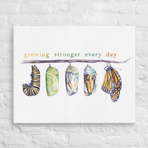 Monarch Butterfly CANVAS wall art: caterpillar chrysalis butterfly physical therapy, psychologist office nursery teacher gift Metamorphosis