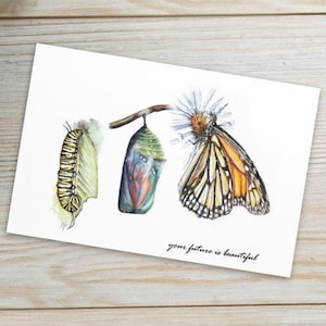 Carte postale papillon: Caterpillar ~ Chrysalis ~ Butterfly 4x6 pouces aquarelle Carte postale monarque ~ carte de l’ami égayer « votre avenir est beau »