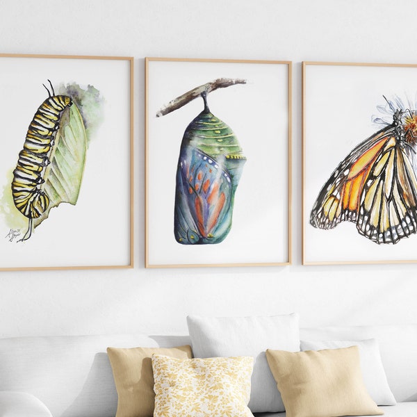 Monarch Butterfly Printable Wall Art ~ No Text ~ Set of 3 Digital Download Caterpillar Chrysalis Monarch Art Prints Butterfly Nursery Art