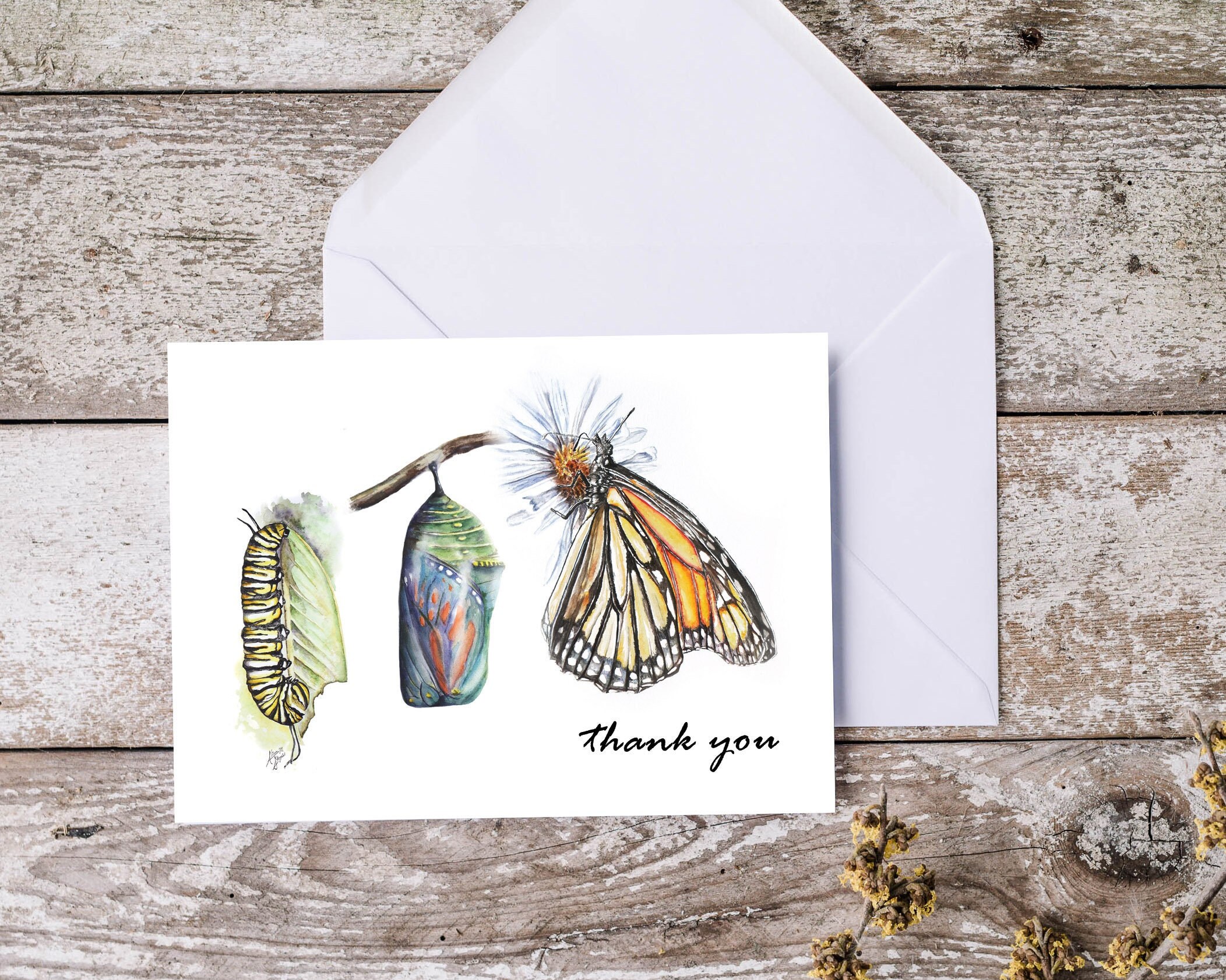 Monarch Butterfly Thank You Card | Butterfly Thank You Card Set ...