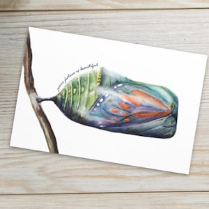 Butterfly Postcard: Monarca in Chrysalis "Il tuo futuro è bello" 4x6 pollici Butterfly postcard ~ rallegra, incoraggiamento, cartolina amica