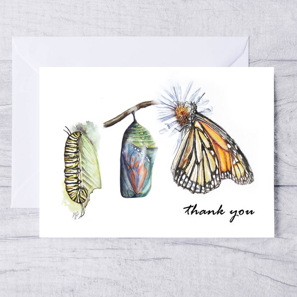 Monarch butterfly thank you card | butterfly thank you card set gardener thank you card | save monarchs thank you card