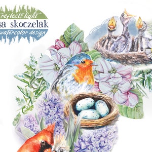 May include: Watercolour painting of a robin, cardinal, and baby birds in a nest. The birds are surrounded by flowers, including hyacinths, daisies, and apple blossom. The painting is titled "art reflects light alissa skoczelak watercolour design".