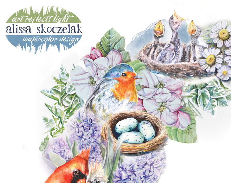 May include: Watercolour painting of a robin, cardinal, and baby birds in a nest. The birds are surrounded by flowers, including hyacinths, daisies, and apple blossom. The painting is titled "art reflects light alissa skoczelak watercolour design".