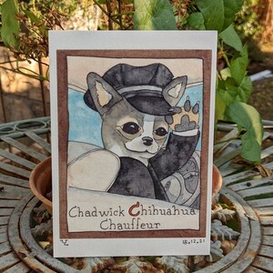 Y&#39;s Animal Alphabet: Chadwick Chihuahua, Chauffeur - The Postcard