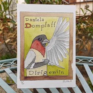 Y’s Animal Alphabet : Daniela Dompfaff - La carte postale