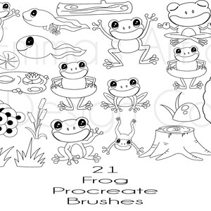 Procreate Frog Stamps, Procreate Frog Brushes, Procreate Doodles, Procreate,  Procreate IPad, Instant Download, Amphibian Brush, Toad Stamp