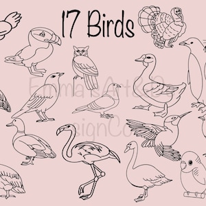 Procreate, Procreate Brushes, Procreate Stamps, Bird Brush, Bird Stamp, Procreate Brush Set, Digital Brushes, Ipad Brushes, Bird DrawingArt