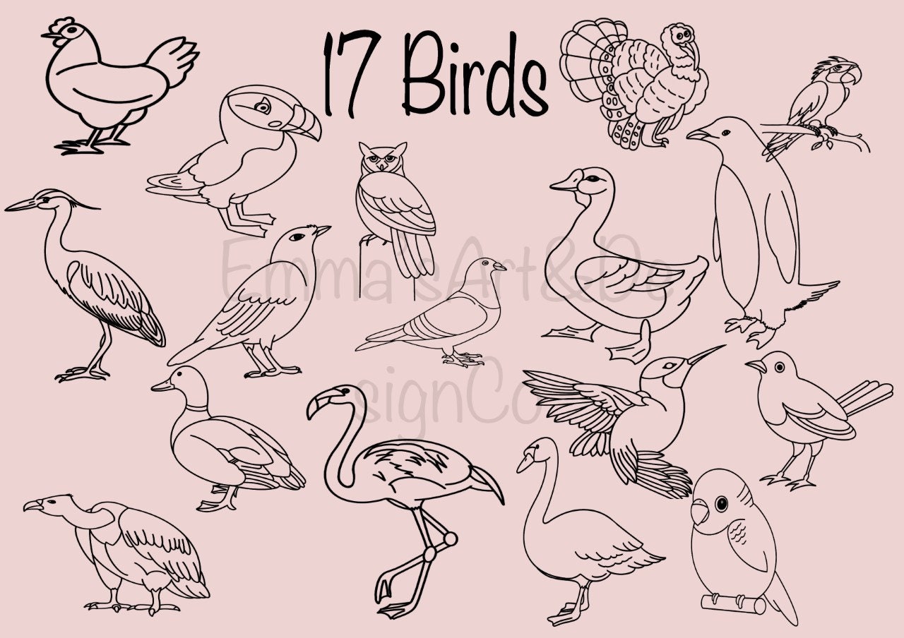 Procreate Procreate Brushes Procreate Stamps Bird Brush Etsy