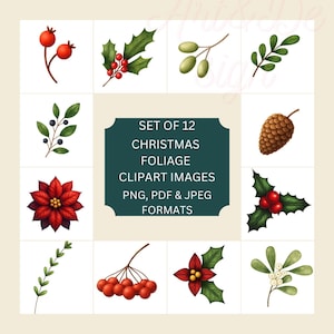 12 Christmas Foliage Clipart Set, Holly, Mistletoe, Ivy, Pinecones & Winter Greenery, Holiday Botanical Illustrations, Christmas Plants