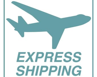 Express shipping  shipping time 3 to 5 days