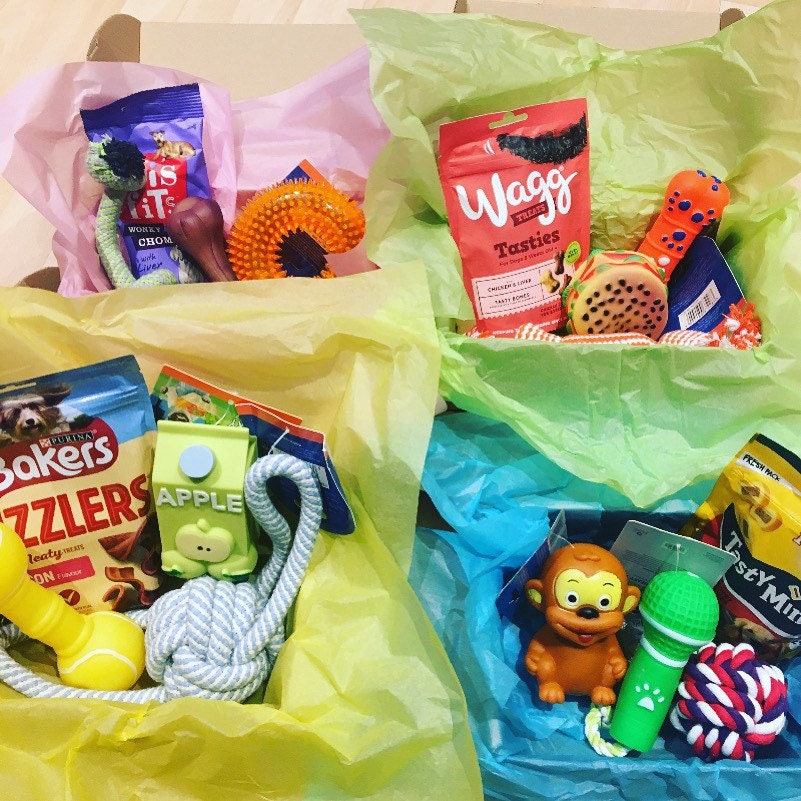 Dog christmas hamper 2025
