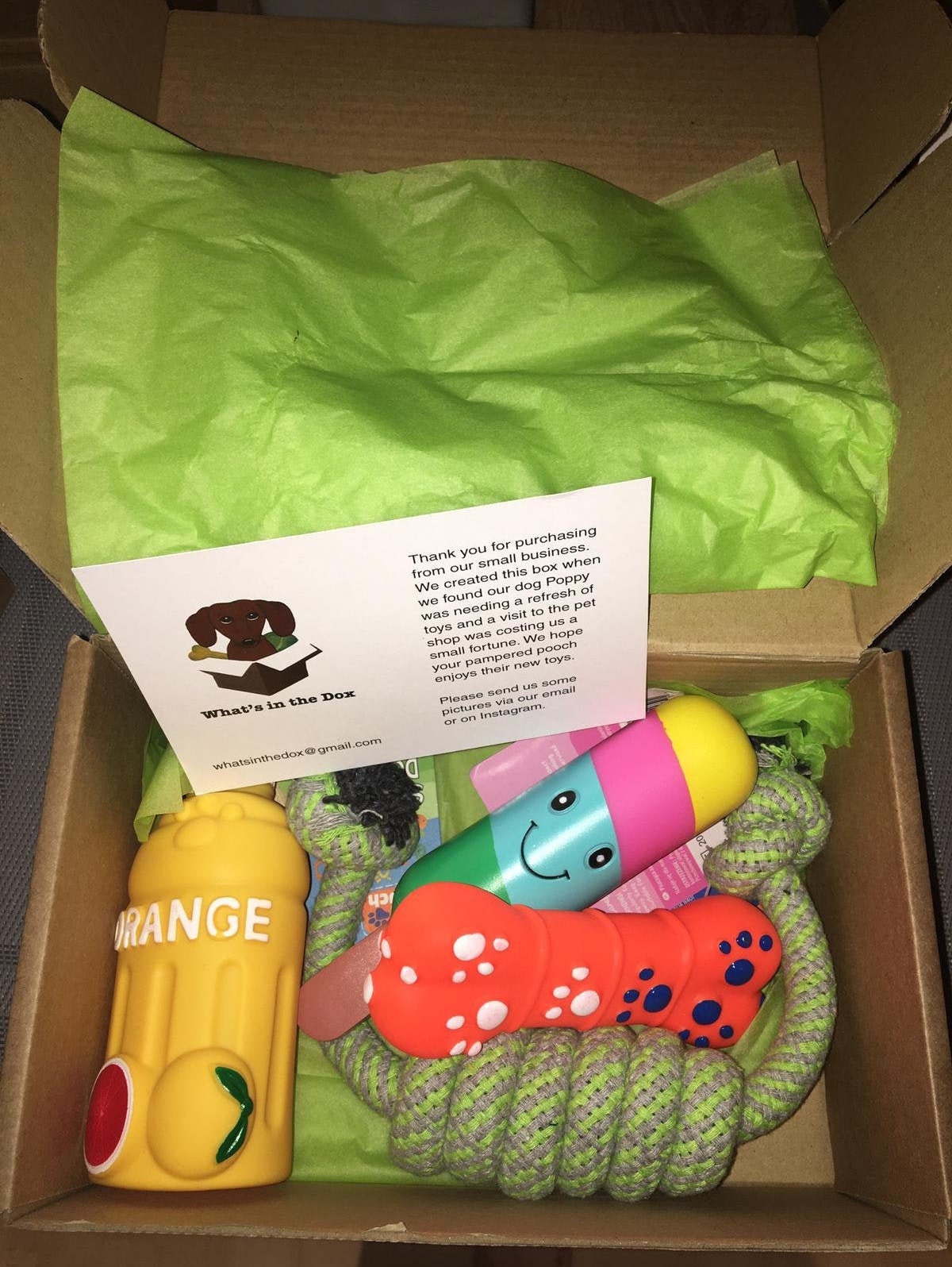 dog toy mystery box