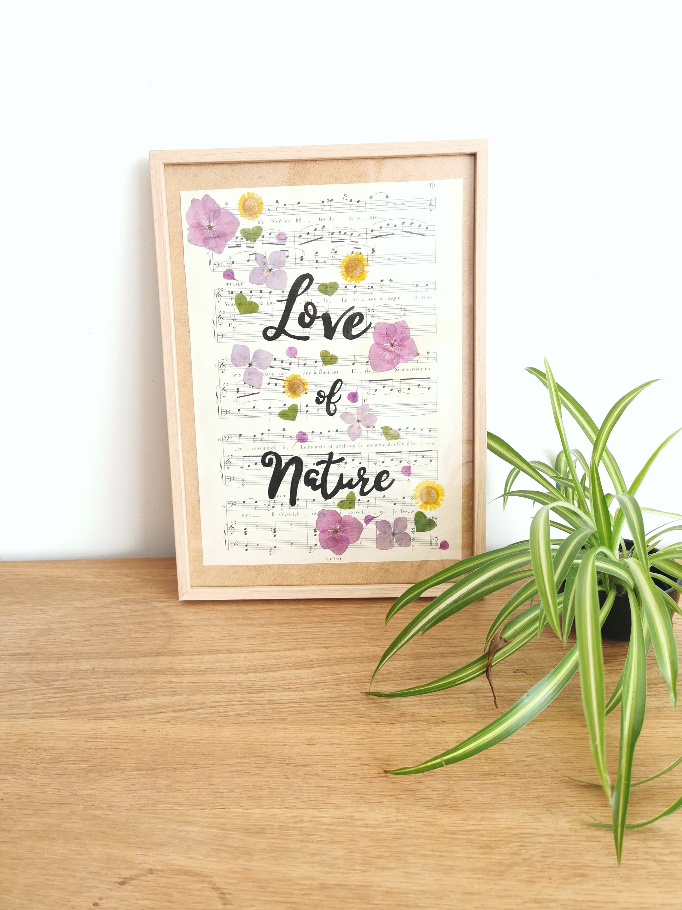 Herbier Décoratif Encadré/Fleurs Pressées sur Partition Poetique