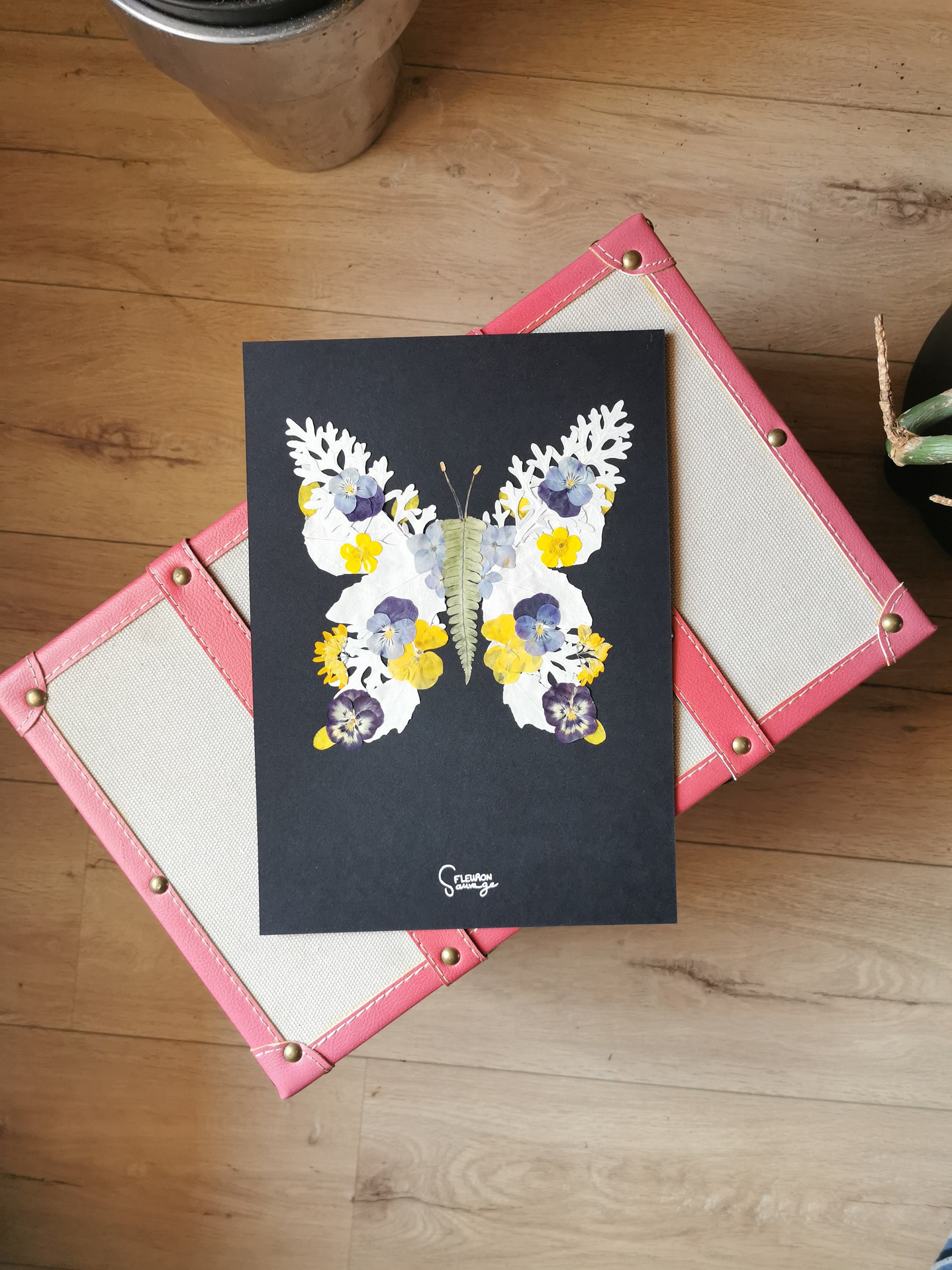 Herbier Papillon de Fleurs Pressées/Cadre Végétal