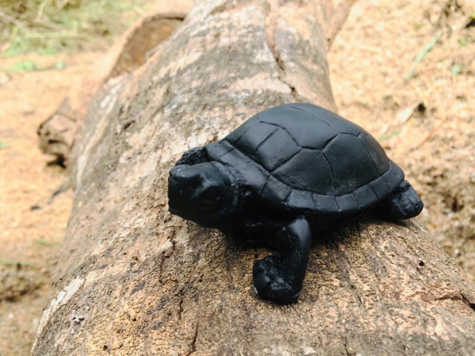 Good Luck Hand Carved Black Turtle Cute Gift Present Etsy