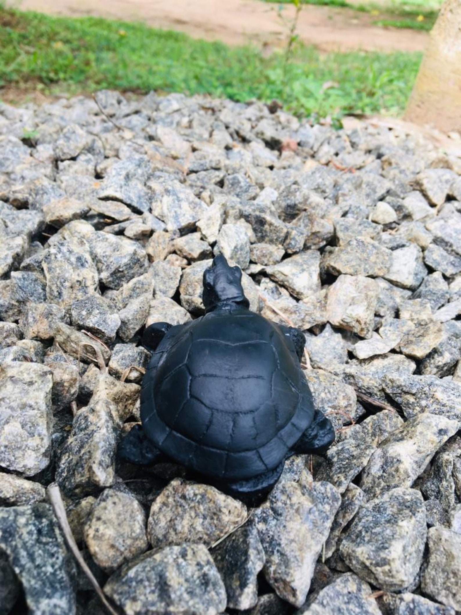 Good Luck Hand Carved Black Turtle Cute Gift Present Etsy