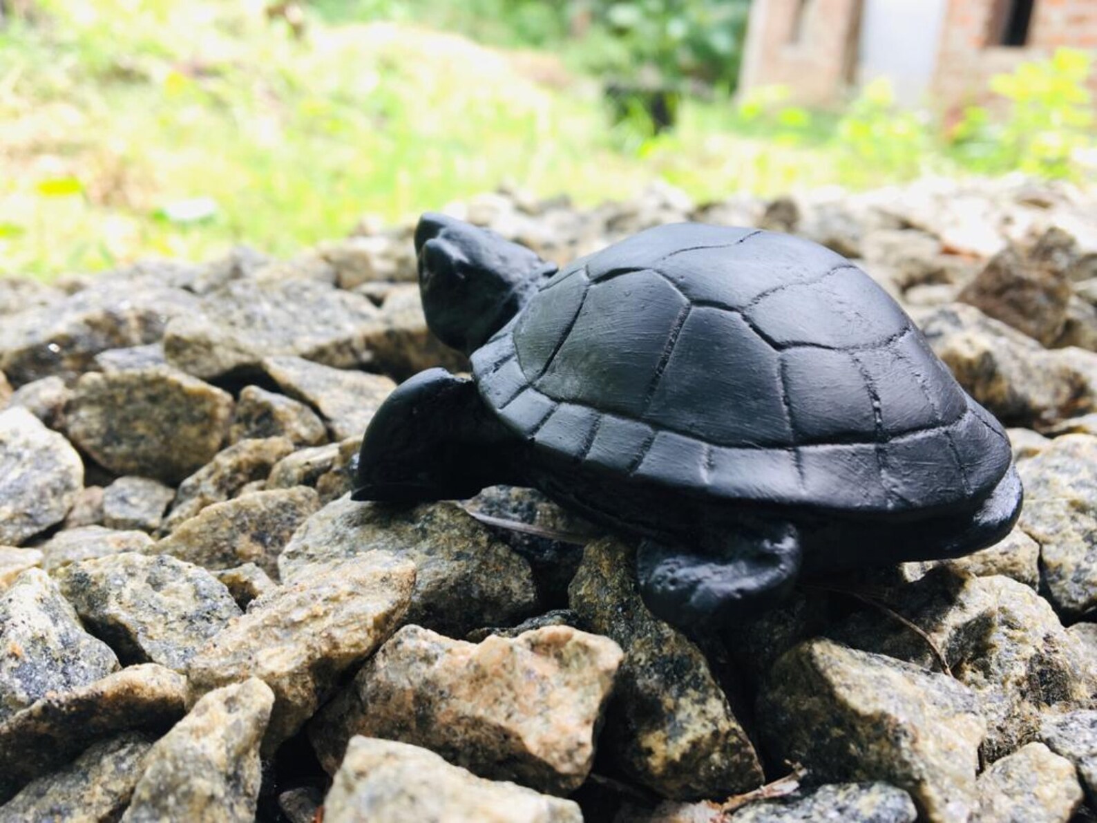 Good Luck Hand Carved Black Turtle Cute Gift Present Etsy