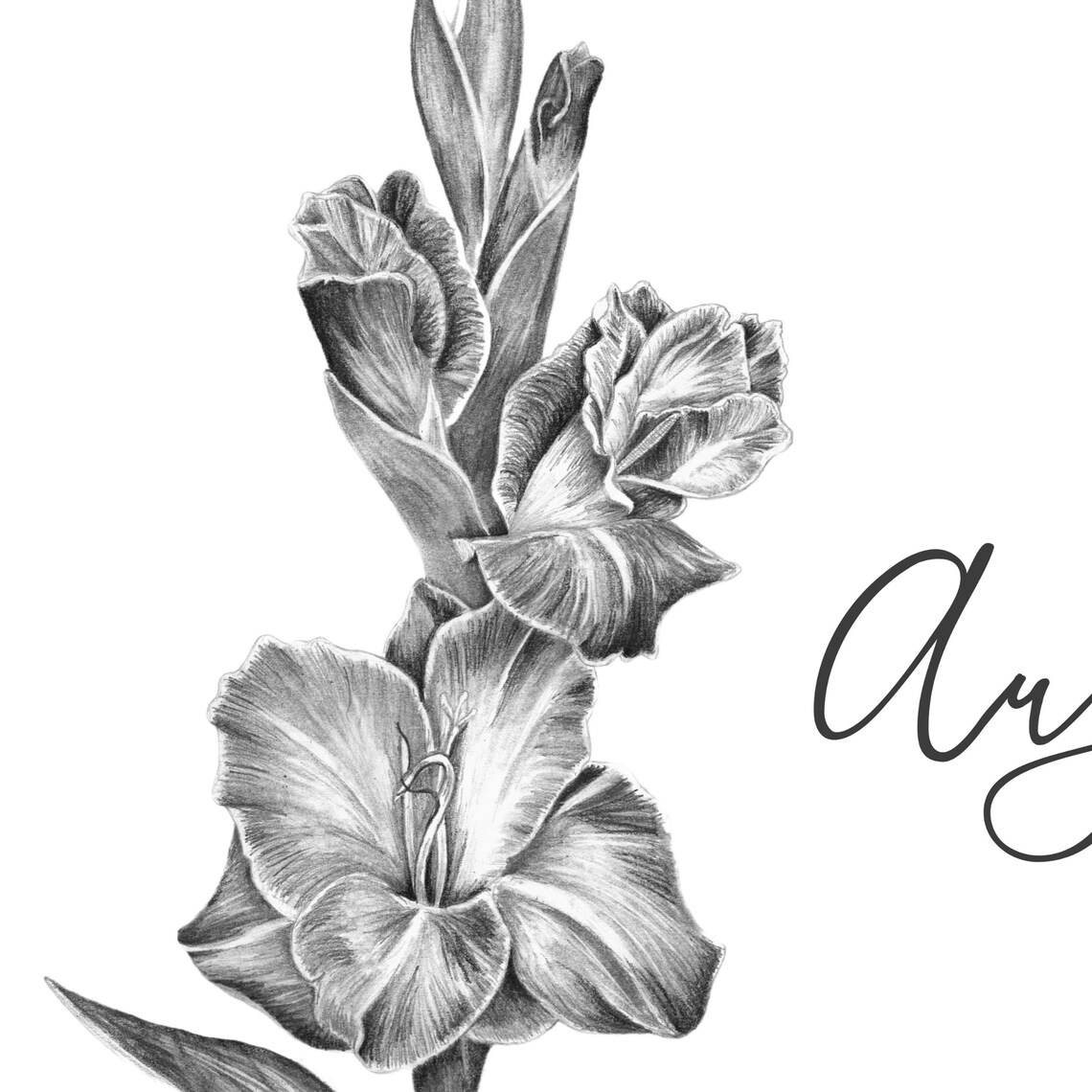 DIGITAL August Birth Flower Print Botanical Art Printable Etsy UK