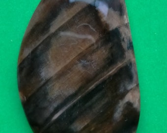 Freeform petrified wood cabochon.