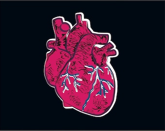 Human Heart Illustration Print
