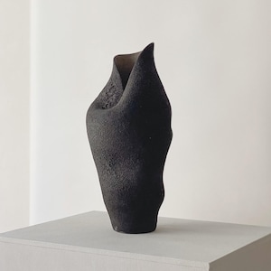 May include: A black ceramic vase with a distinctive, flowing form. The vase has a folded top and is placed on a light grey cube. The textured surface of the vase provides a tactile element, enhancing the minimalist aesthetic.