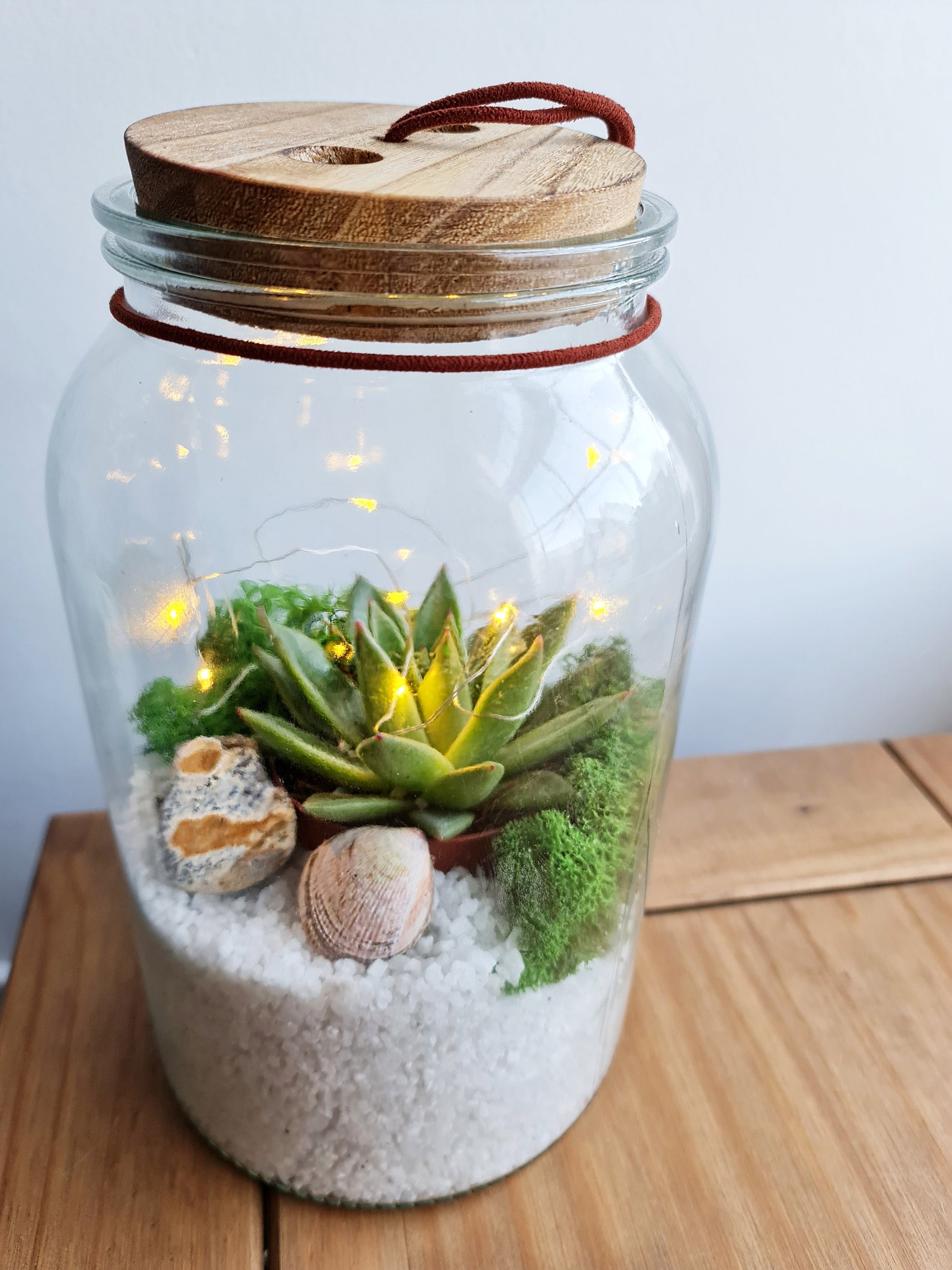 Extra Large Jar succulent plant terrarium DIY I Indoor