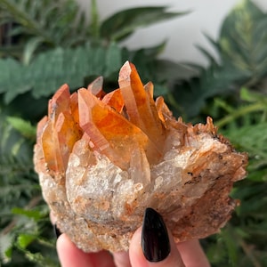 Red Quartz Cluster