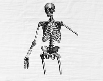 Skeleton tea towel