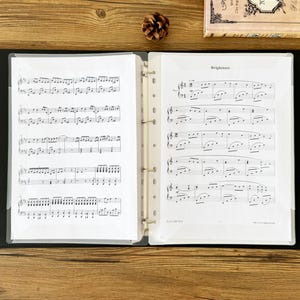 Puede incluir: Carpeta negra abierta con páginas de partituras. Las páginas se guardan en fundas de plástico transparente. La música está impresa en papel blanco. La palabra "Brightness" es visible en una página. Una piña y un libro están en el fondo.