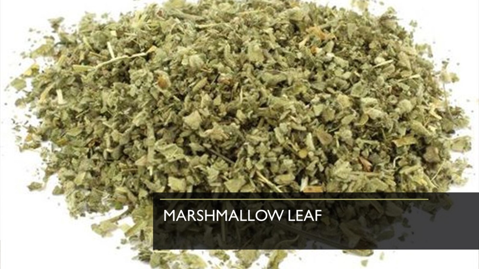 Marshmallow Leaf Certified Organic 1 oz BUY 1 GET 1 SALE Etsy