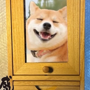 Japanese Butsudan Buddhist Pet Altar Compact Size luxury paulownia wood Dog Cat pet ceremony brown