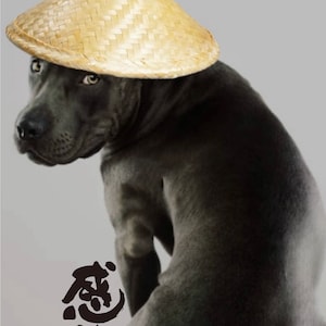 以下が含まれることがあります： わら製の円錐形の帽子をかぶった灰色の犬。犬は横を向いており、帽子は目を覆っている。画像の左下には黒いインクで「意」という文字が書かれている。